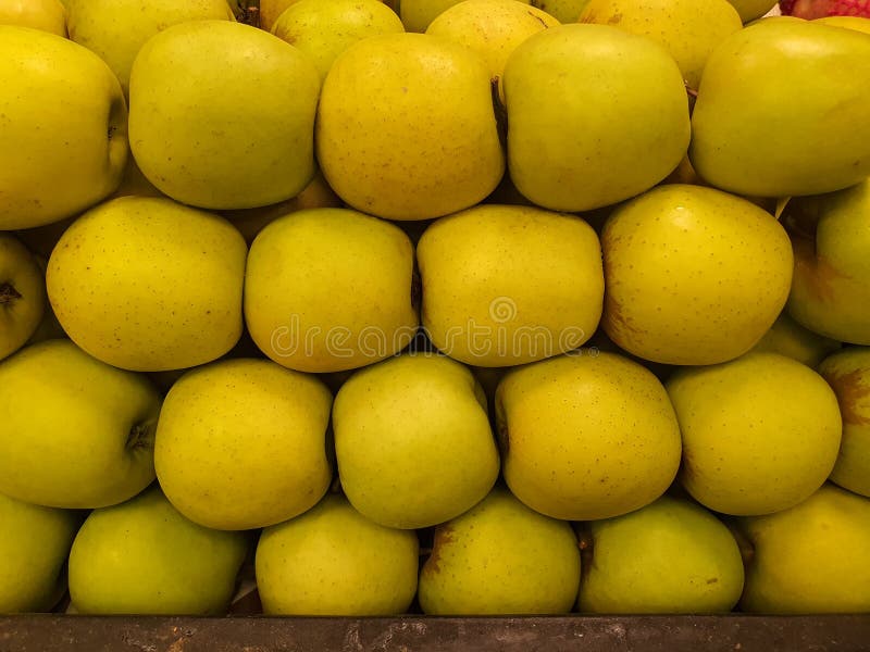 Round Apple Booty