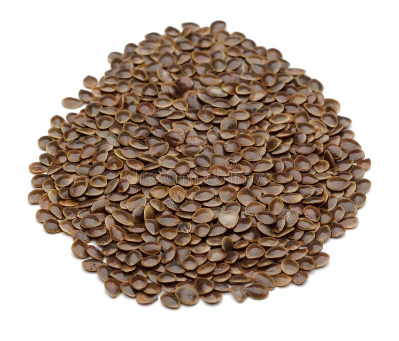 Семена Крапивы Двудомной Купить