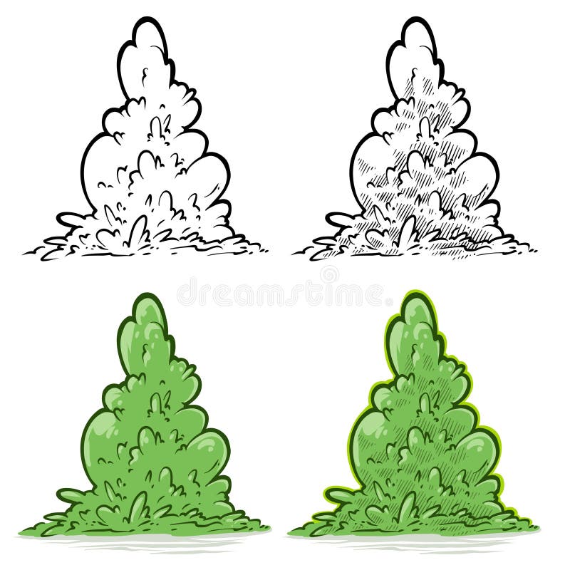 Big Bush Videos