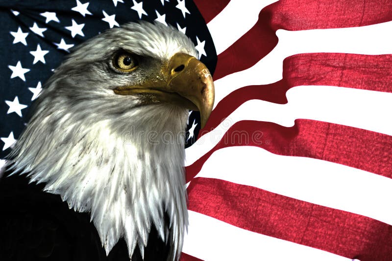 Símbolo Americano - Bandera De Los .U. Con El águila Imagen de archivo  - Imagen de animal, america: 108336221