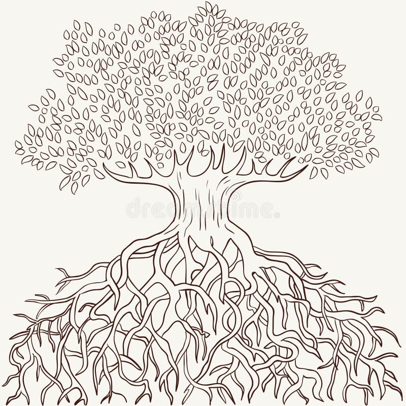 picture Silueta Arbol Para Colorear Con Raices arbol abstracto con las ramificaciones