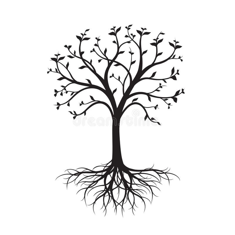 pics Silueta Arbol Para Colorear Con Raices arbol desnudo negro con las hojas y las