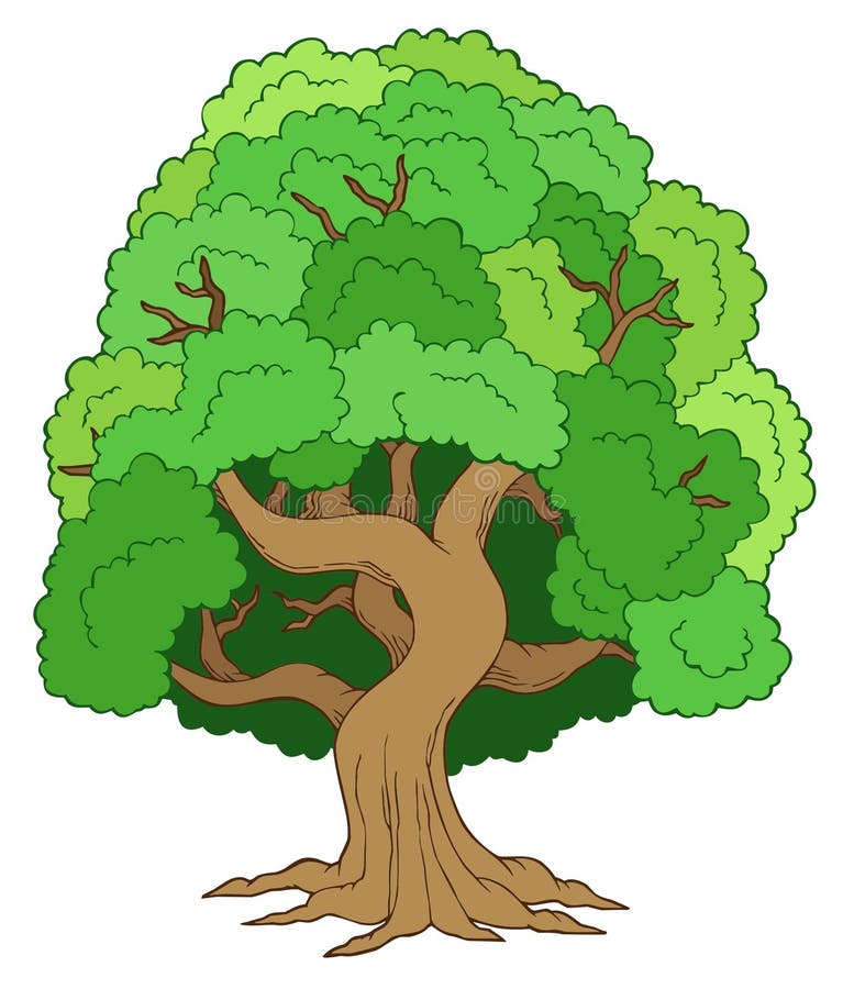 Árbol frondoso verde ilustración del vector. Ilustración de alto - 15614771