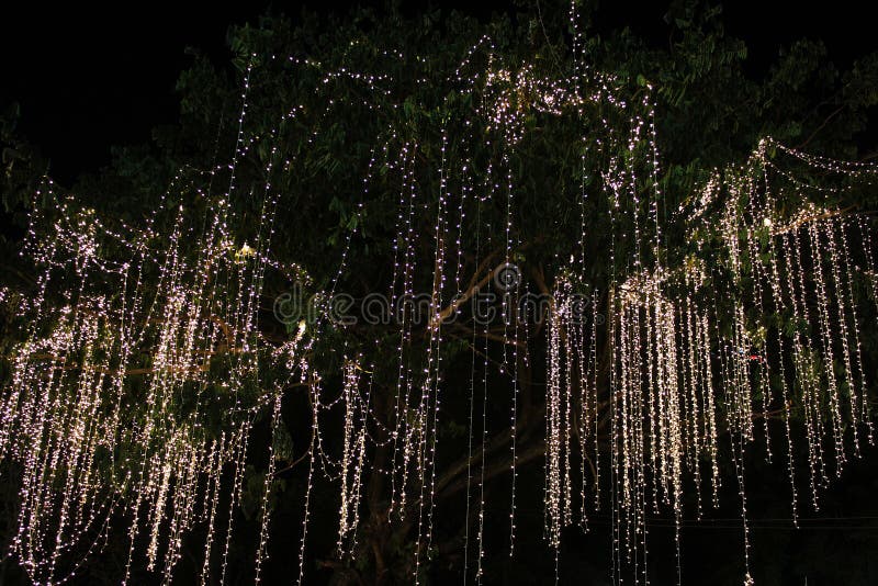 Árboles Decorados Con Brillantes Luces Para Celebrar Eventos De Navidad Y  Año Nuevo Imagen de archivo - Imagen de chispa, ornamento: 168134307