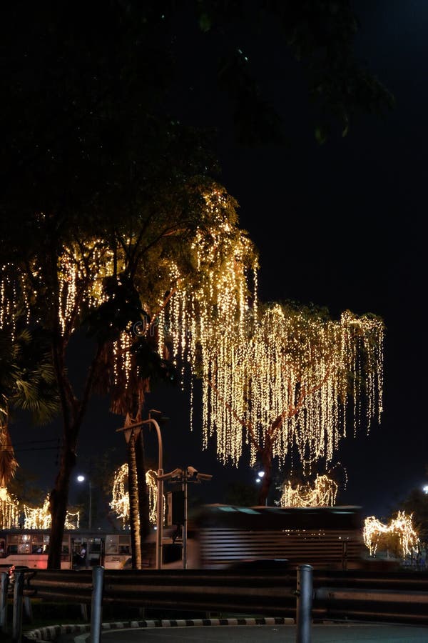 Árboles Decorados Con Luces De Vacaciones Crecen Por Las Calles De La  Ciudad Por La Noche Imagen editorial - Imagen de imagen, nuevo: 168098185