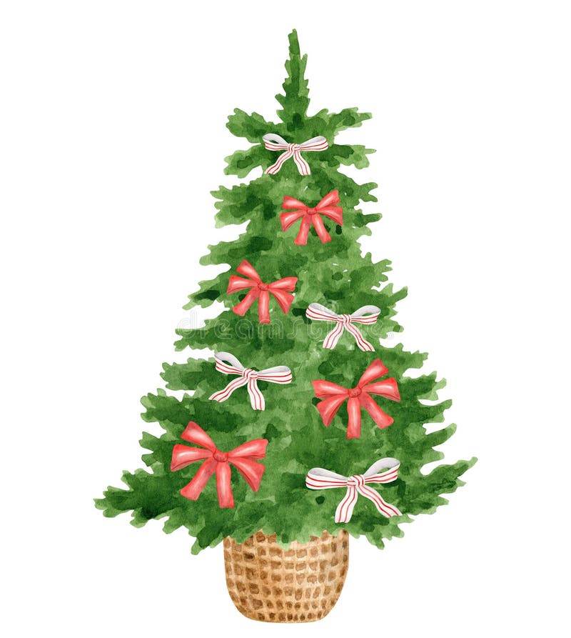 árvore De Natal De Aquarela Decorada Com Ilustração De Laços Vermelhos. Pintura Manual De Abetos Verdes Em Cesto De Vime Ilustração Stock - Ilustração de natal, arte: 233228652 árvore De Natal De Aquarela Decorada Com Ilustração De Laços Vermelhos. Pintura Manual De Abetos Verdes Em Cesto De Vime Ilustração Stock - Ilustração de natal, arte: 233228652