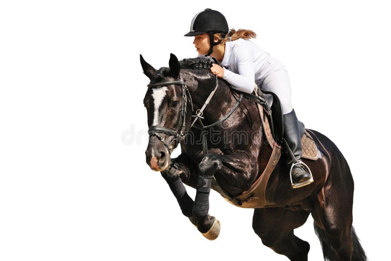 Jeune fille et cheval noir photo stock. Image du équin - 21996146