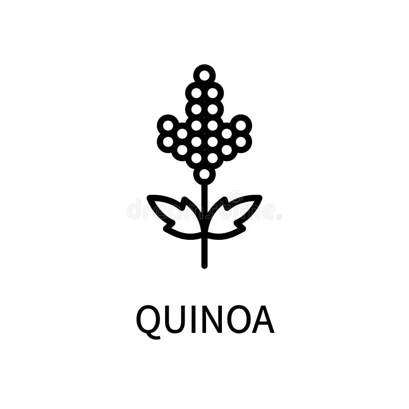 Quinoa Natural - Alimentos e produtos saudáveis