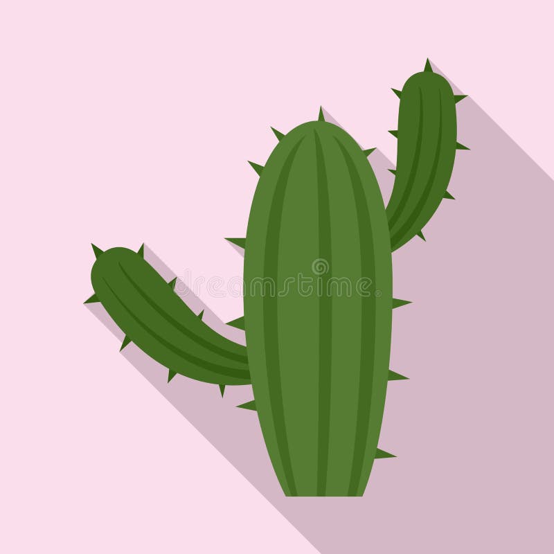 Vector Cactus PNG , Cacto Do Deserto, Pintado A Mão Do Cacto, Cacto Dos  Desenhos Animados Imagem PNG e Vetor Para Download Gratuito