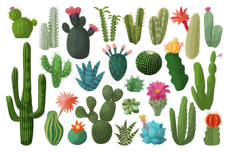 ícone Do Conjunto De Desenhos Isolados Do Cacto. Ilustração Vetorial Cactos  Mexicanos Sobre Fundo Branco. ícone Do Conjunto De Des Ilustração do Vetor  - Ilustração de tropical, verde: 176517468