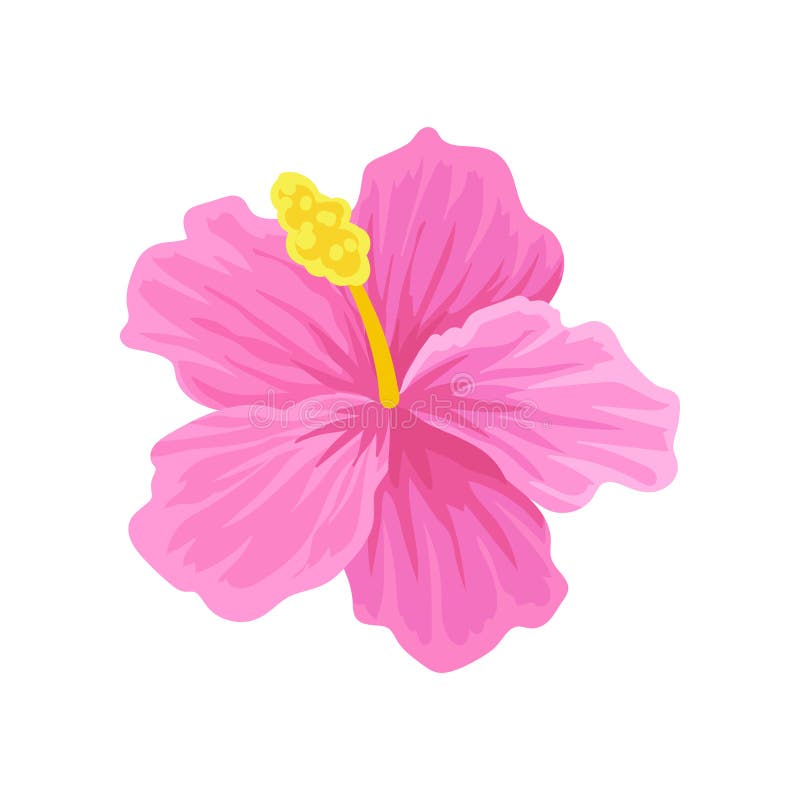 Ícone Liso Do Vetor Do Hibiscus Tropical Com Pétalas Cor-de-rosa Flor De  Florescência Bonita Tema Da Botânica Ilustração do Vetor - Ilustração de  jardim, cartoon: 124852506