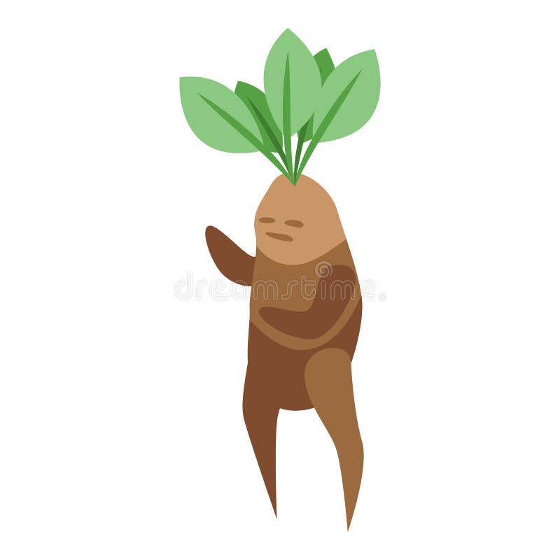 Mandrake personagem ícone desenho animado vetor raiz mágica