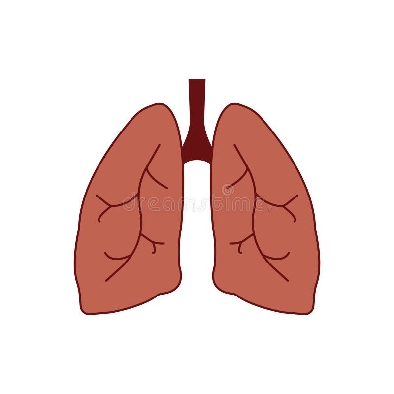 Pulmonar Ilustracoes Vetores E Clipart De Stock 1 074 Stock Illustrations