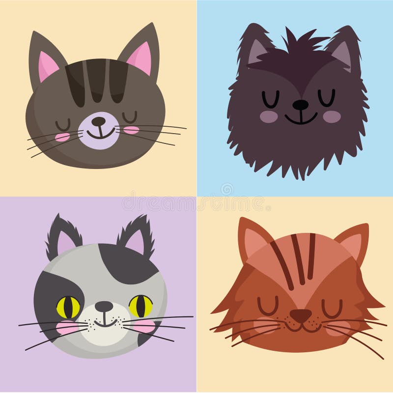 Gatos De Estimação Enfrentam Diferentes Desenhos Da Raça Felina