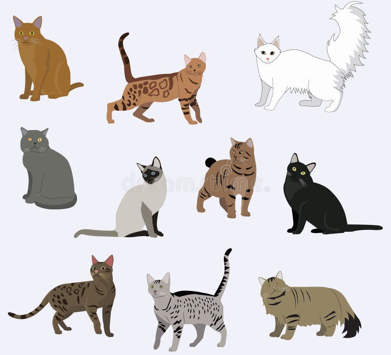 Ilustração De Gatos De Caipira Coleção De Cartoons Em Fundo Azul, Gatinhos  Fofos Criam Desenhos Vetoriais Ilustração do Vetor - Ilustração de  britânico, fofofo: 169155289