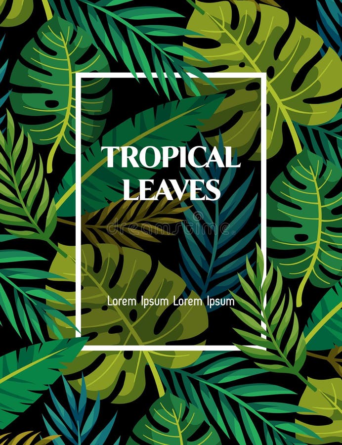 Tropical Leaves Stock Illustrations – 397,808 Tropical Leaves Stock  Illustrations, Vectors & Clipart - Dreamstime