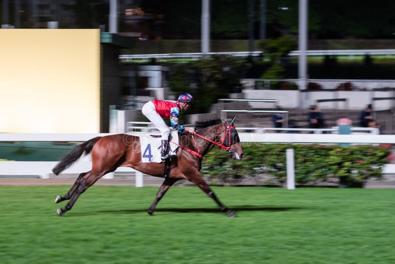 Foto de Cavalo Pulando Fench Desfoque De Movimento Durante A Corrida e mais  fotos de stock de Corrida de Cavalos - Evento Equestre - iStock