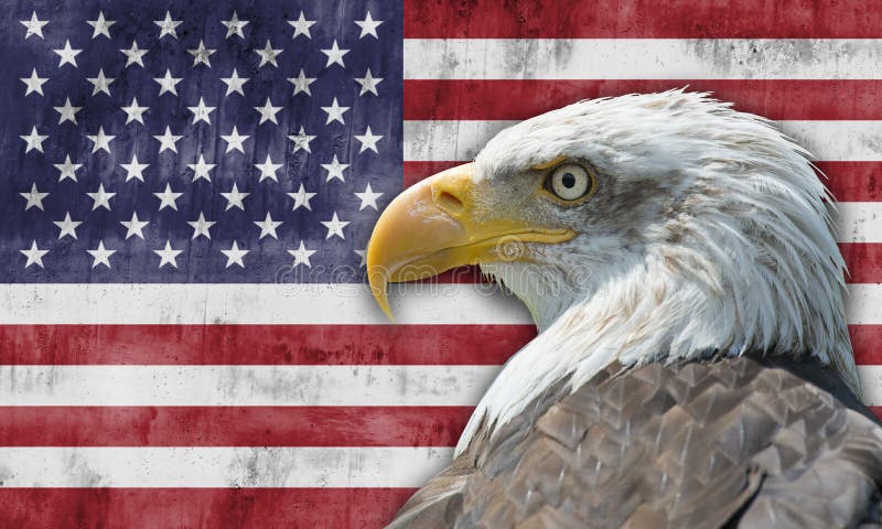 Αμερικανική σημαία και φαλακρός αετός Στοκ Εικόνα - εικόνα από birdbaths: 26698963