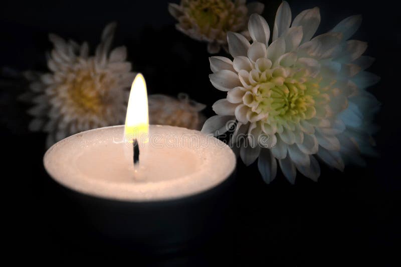Κερί και άσπρα λουλούδια στοκ εικόνες. εικόνα από candlelight - 110557004