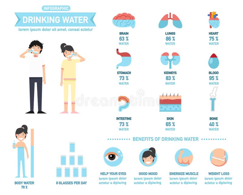 Οφέλη του νερού Infographics-σωμάτων πόσιμου νερού, διάνυσμα Διανυσματική απεικόνιση - εικονογραφία από οφέλη, νερού: 73893507