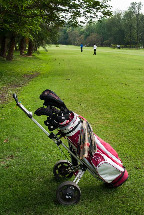 Σάκος γκολφ στο καροτσάκι εκδοτική εικόνα. εικόνα από - 34607810