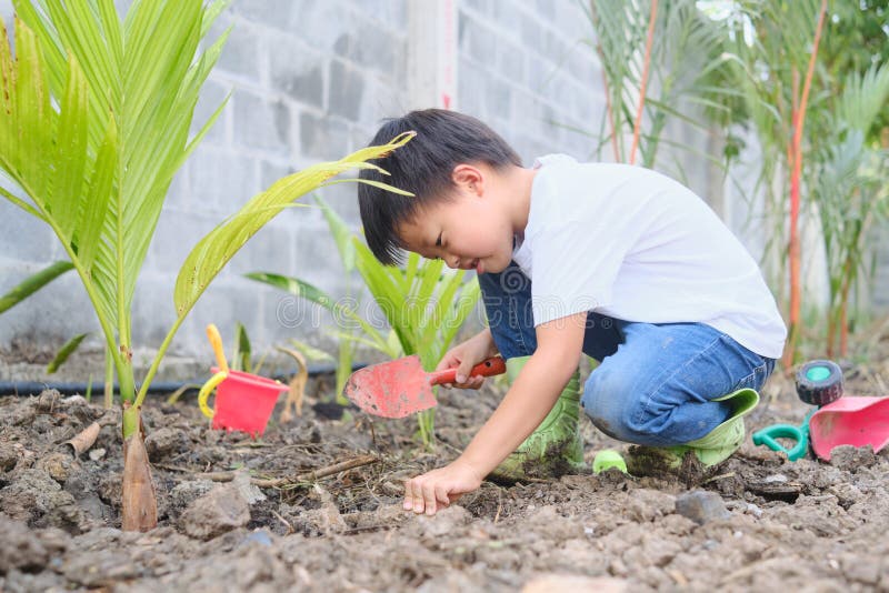 Boys plant