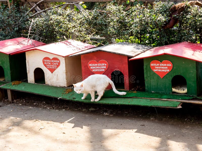 Домики для кошек в турции на улице Домики для кошек в турции на улице