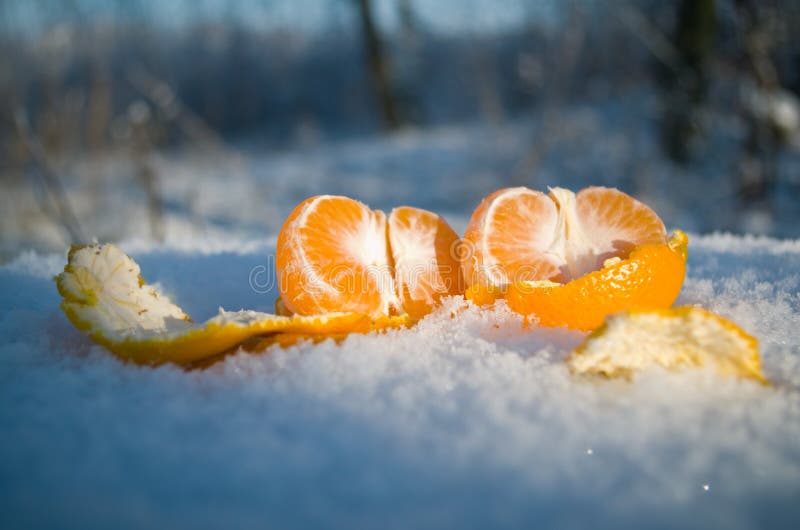 Апельсины на снегу