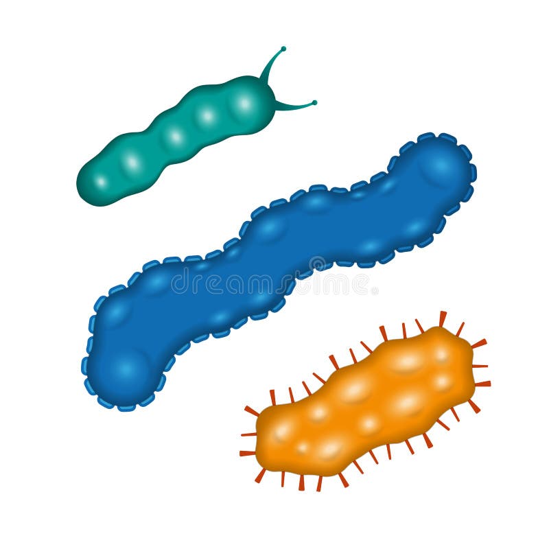 Вижу бактерии. Вирусы и бактерии. Бактерии и вирусы черви. Название мелкий бактерий червячков.