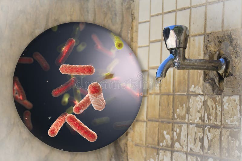 Бактерии в питьевой воде. Бактерии в воде из под крана фото. Микробы в воде из под крана.