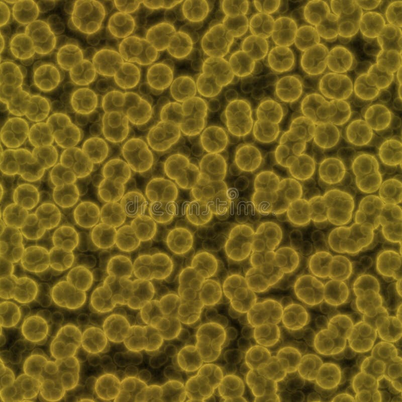 Желтые бактерии. Микроорганизмы желтые. Бактерии желтого цвета. Африканская желтая бактерия.