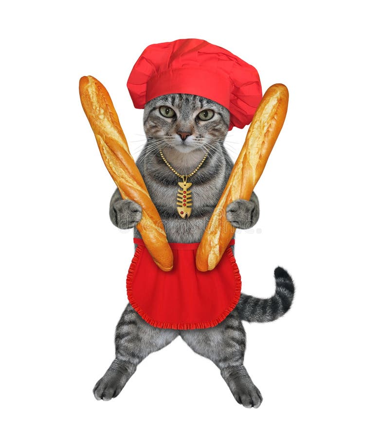 Кот пекарь