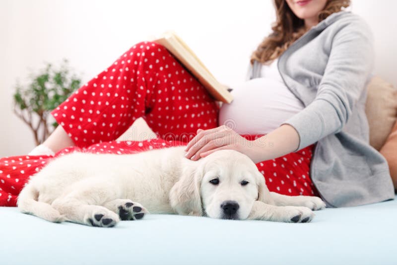 Женщина забеременела от собаки. Фотосессия для беременных с собакой. Беременные фотосессии с собакой. Животные беременность женщина.