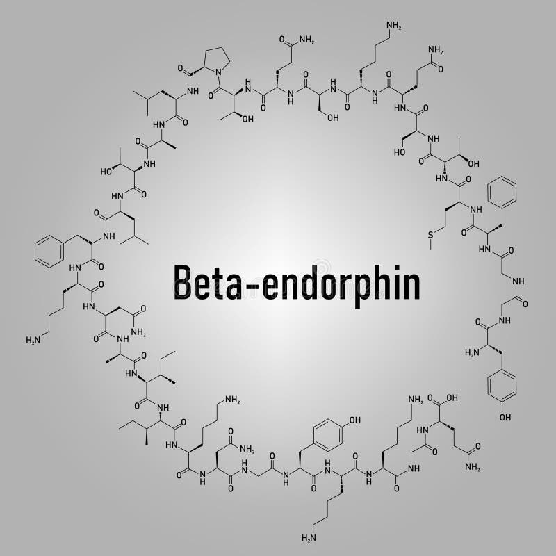 Бета эндорфин. Эндорфин. Эндорфин отряд. Эндорфин эмблема. Структурная формула пептида.