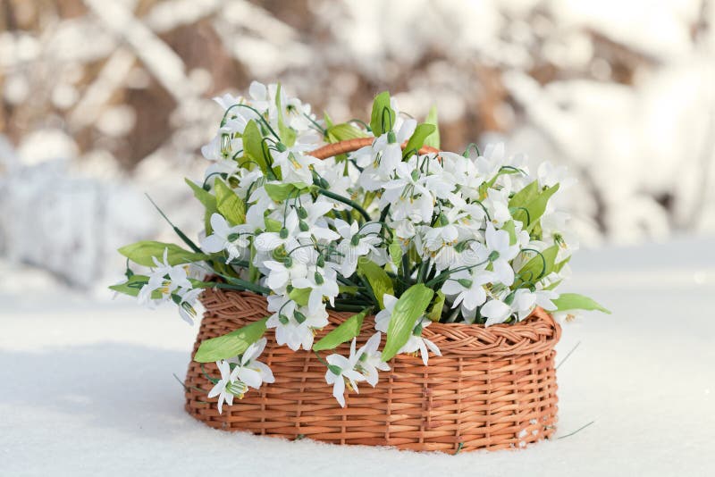 Корзинка с подснежниками