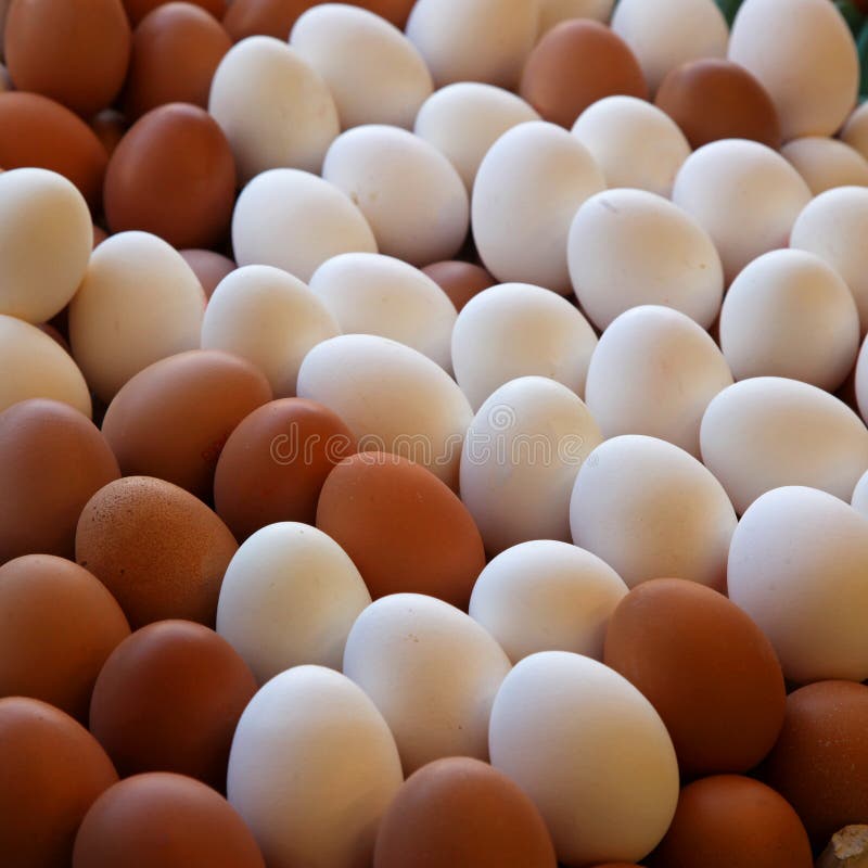 Яйца кучей. Много яиц. Кучка яиц. Куриные яйца кучка. Яйца много яиц.