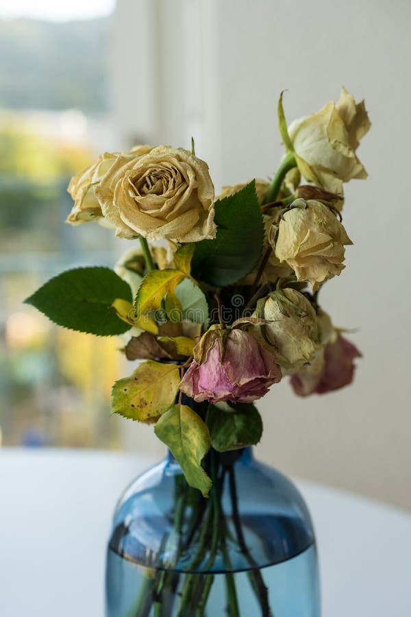 Почему вянут розы в вазе. Букет завядших роз. Букет увядающих роз в вазе. Сухие розы в вазе. Завявшие розы в вазе.