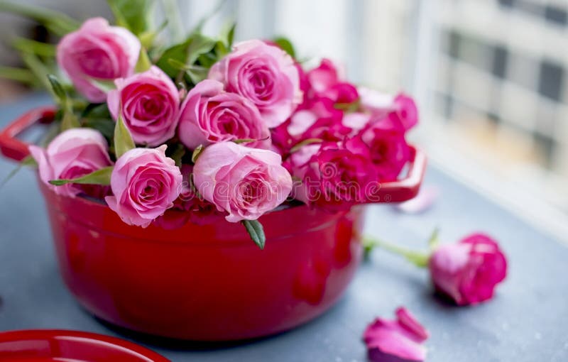 букет роз для мамы подарочная концепция для женщин и матерей день. цветы в  красной сковороде. свободное пространство Стоковое Изображение -  изображение насчитывающей природа, поднял: 215670083