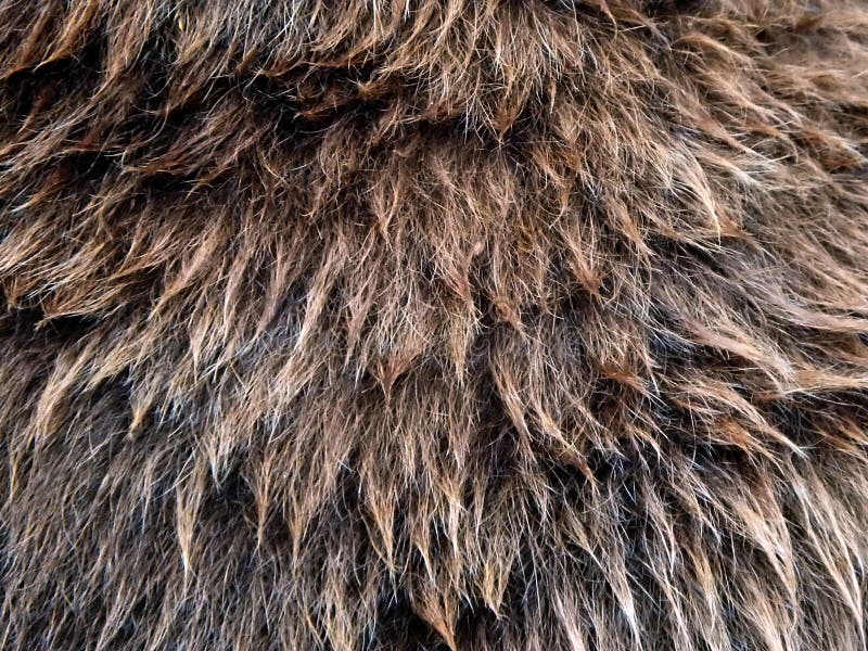Skin fur