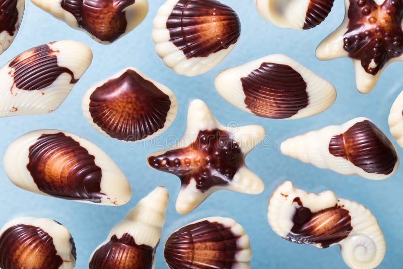 Belgium Marine Shells Chocolate