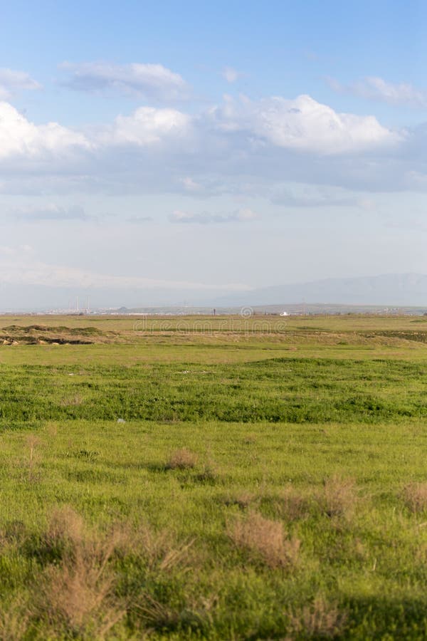 Сарыозекская степь