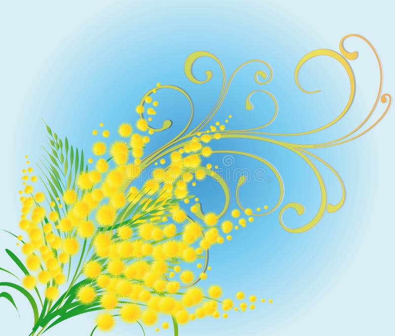 Мимоза рамка