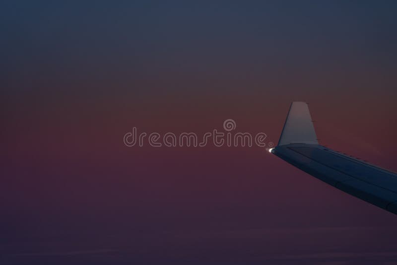             -     203353879