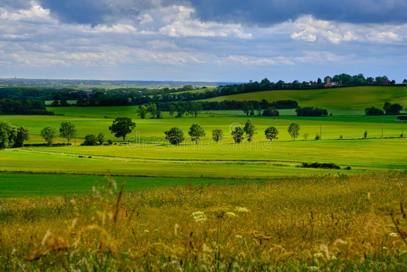 Англия Луга ферма