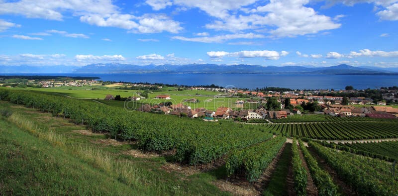 Lavaux Швейцария