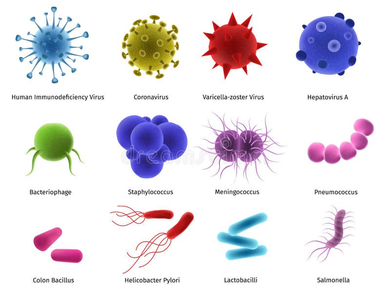 Тема бактерии и вирусы 5 класс. Стафилококк биология. Staphylococcus illness. Стафилококк вектор.