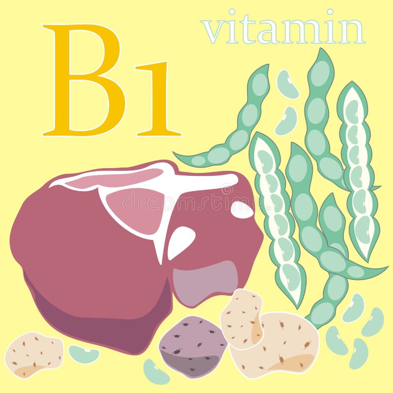 Витамин б 13. Витамин b1 рисунок. Витамин b рисунок. Карточка витамин b1 рисунок. Витамин б рисунок для детей.