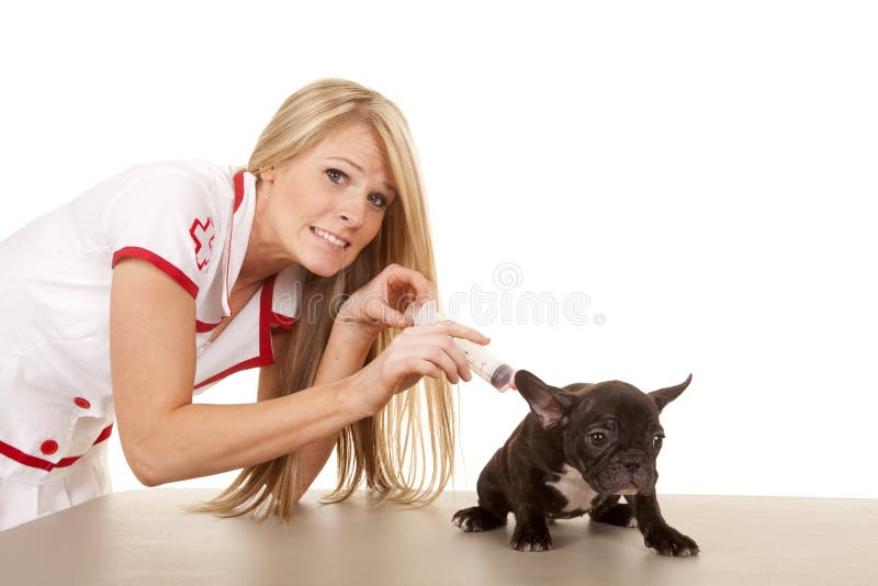 Puppy breastfeeding women