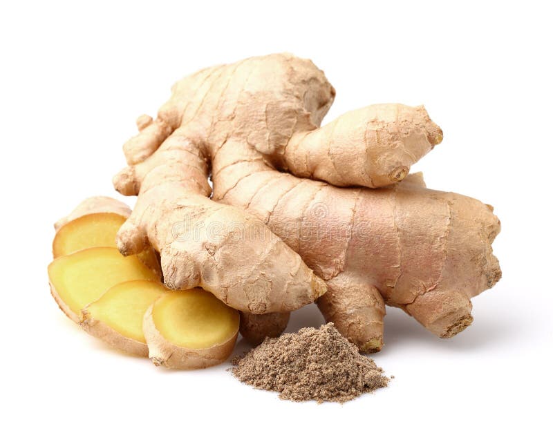 Zingiber officinale ботаника