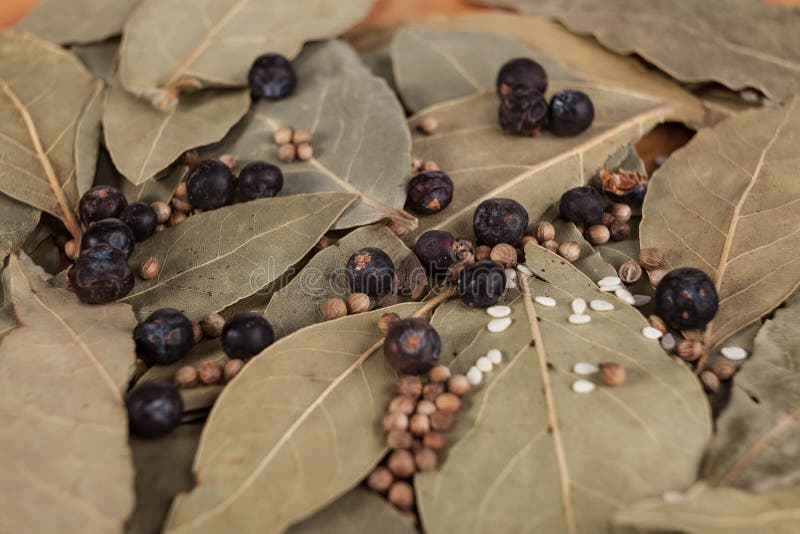 Close Up Leafs of Laurel and Peppercorns Stock Image - Image of bunch, fresh: 28